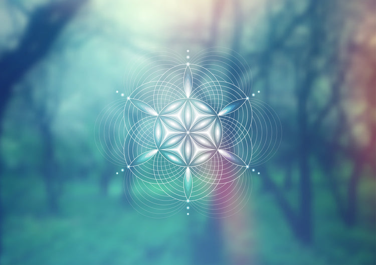 Classes